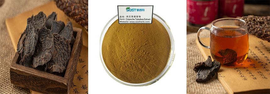 cistanche powder cistanche powder