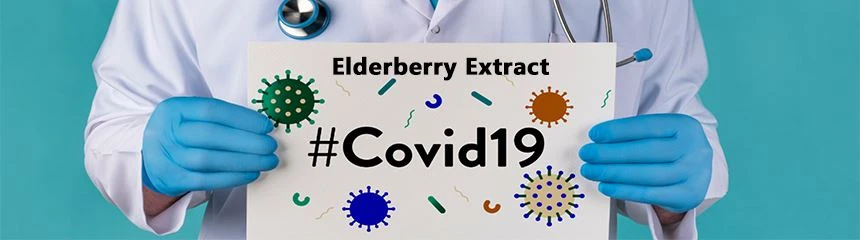 elderberry extract elderberry extract