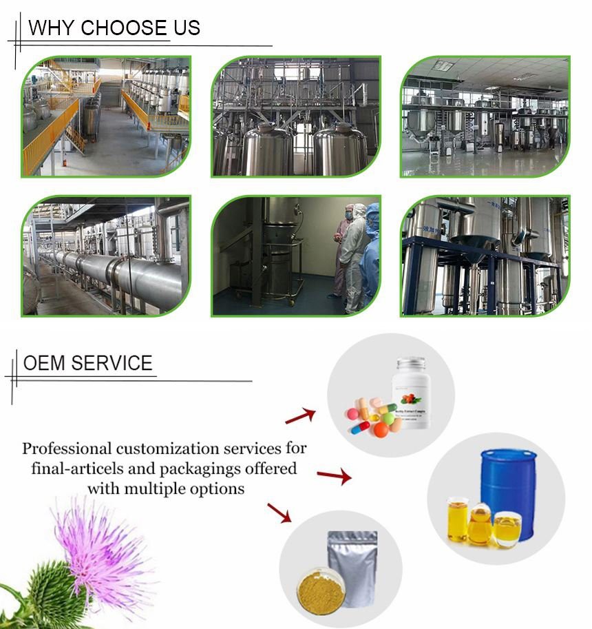choose us