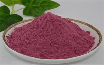 blueberry powder blueberry powder