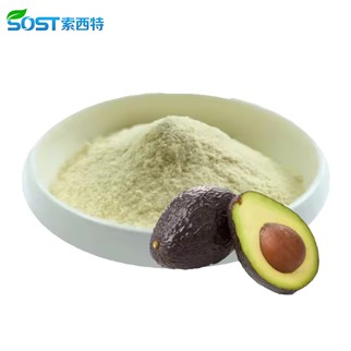 Dried avocado powder2 Dried avocado powder2