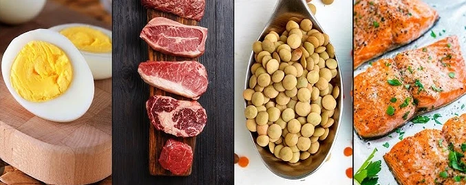High Protein Foods High Protein Foods
