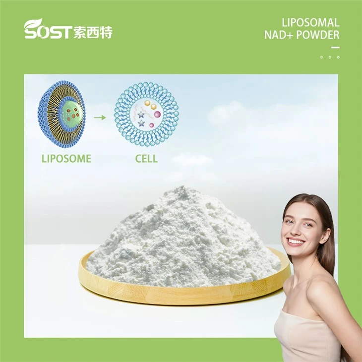 Liposomal NAD+ Powder