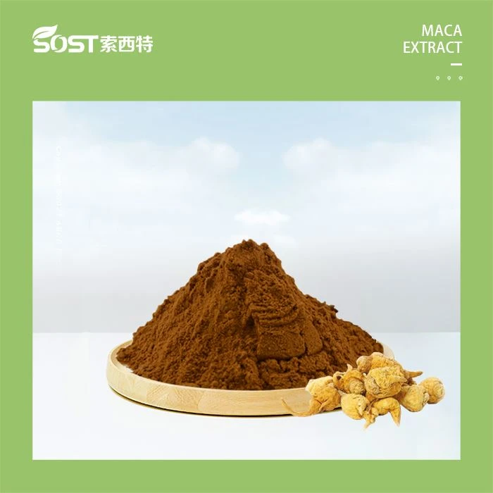 Maca ekstrakt v prahu