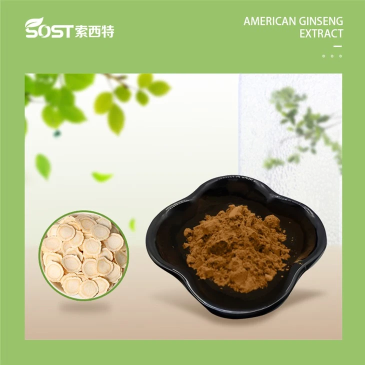 American Ginseng Extract powder