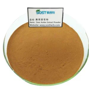 Deer Antler Extract Powder